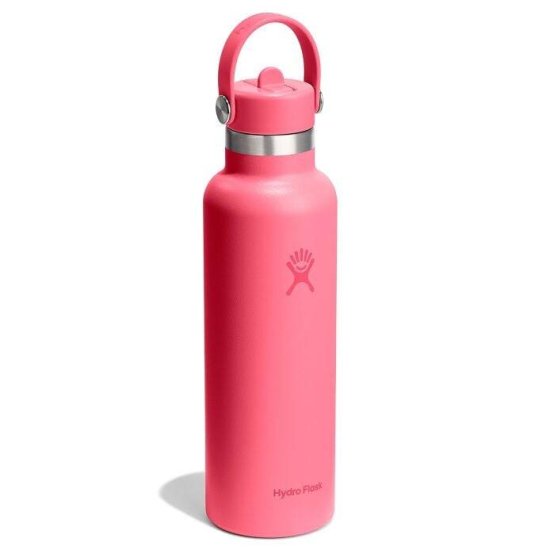 HYDRO-FLASK - GOURDE 21 OZ STANDARD FLEX CAP