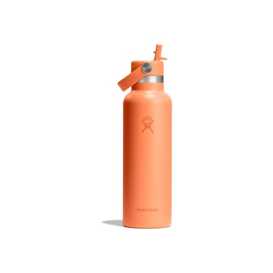 HYDRO-FLASK - GOURDE 21 OZ STANDARD FLEX CAP