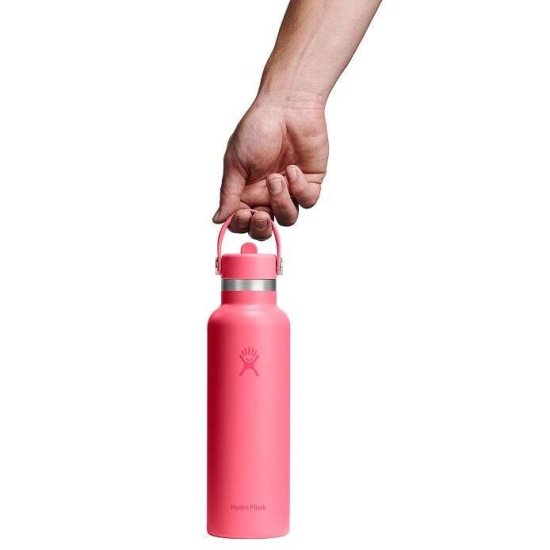 HYDRO-FLASK - GOURDE 21 OZ STANDARD FLEX CAP