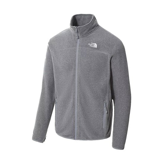 THE NORTH FACE - PILE 100 GLACIER CON ZIP UOMO GRIGIO