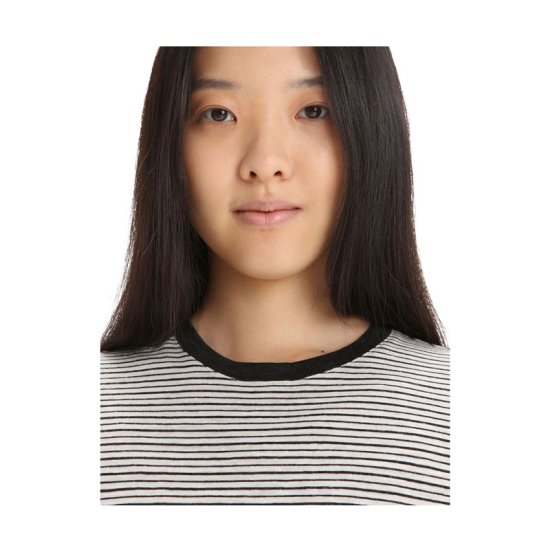 ICEBREAKER - T-SHIRT MERINO LINO A RIGHE DONNA