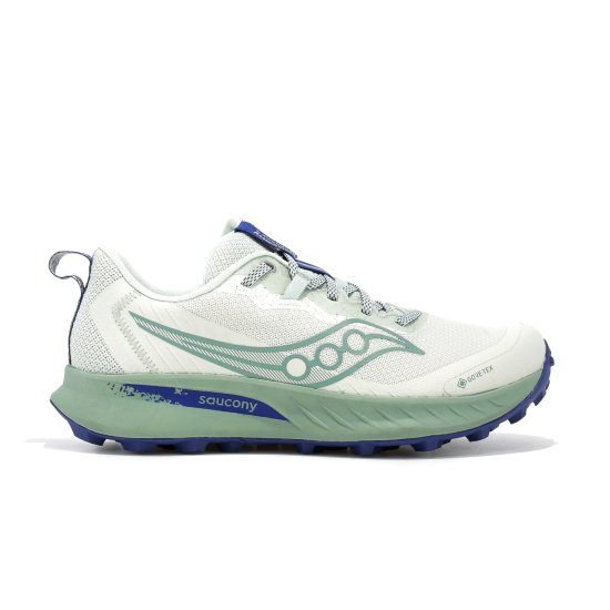 SAUCONY - PEREGRINE 15 GTX DONNA