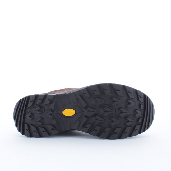 LOWA - RENEGADE EVO GTX LOW UOMO