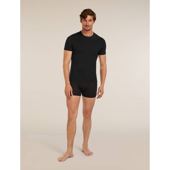 ICEBREAKER - T-shirt Anatomica 150 uomo