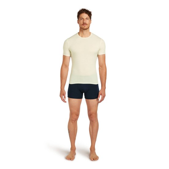 ICEBREAKER - T-shirt Anatomica 150 uomo