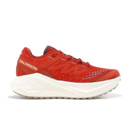 SALOMON Aero Glide 3 GRVL donna 36 2/3 Burnt Ochre/Vanilla