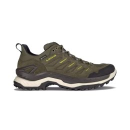 LOWA INNOVO GTX BASSE UOMO 7 olive/amber green