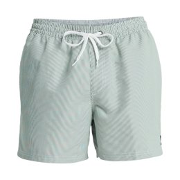 QUIKSILVER Short da bagno Everyday Deluxe Volley 15" uomo M GRT0_FOREST