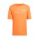T-SHIRT TERREX XPERIOR CLIMACOOL+ UOMO