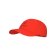 CAPPELLINO BIRD WORD
