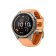 Fenix 9 Pro Amoled Inreach Sapphire