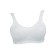 REGGISENO MOMENTUM