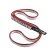 FETTUCCE 10MM DYNEX RUNNER 30CM