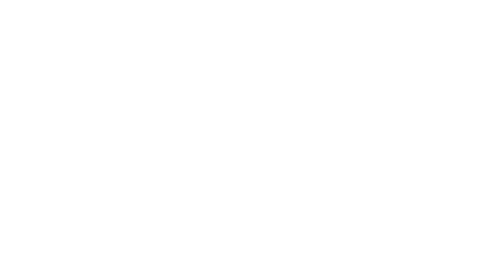 DYNAFIT